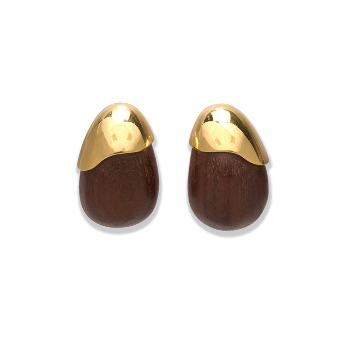 Toro Earrings