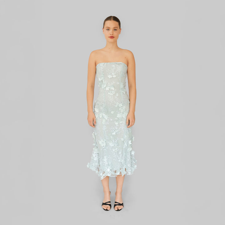 Naya Dress