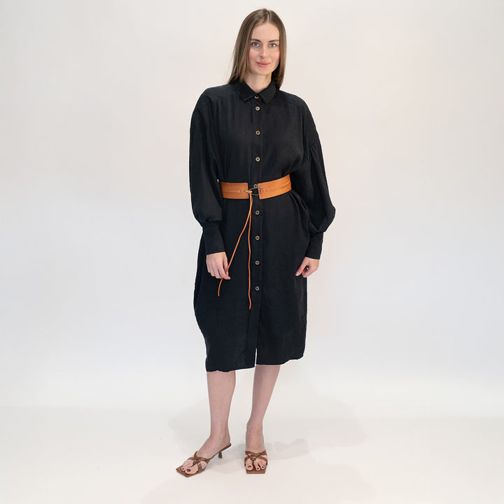 Cupro Shirt Dress